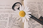 key, old, flower, nostalgic, vintage, marguerite, blossom, bloom, beautiful flowers, rust, metal, antique, dictionary, flower background, nature, german-english, translation, words, flower wallpaper, a book